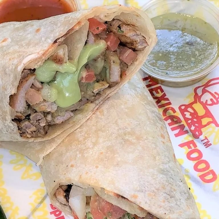 Delicious Carne Asada Burrito